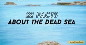 13 Mind-blowing Facts About Dead Sea 