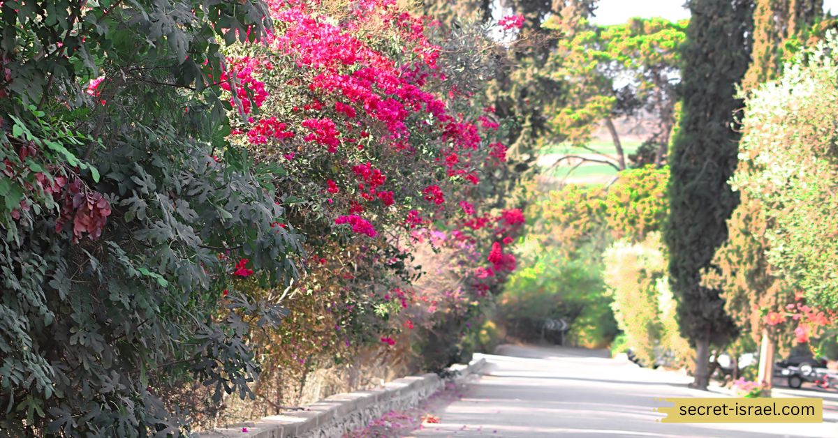 1. Visit the Mini-Israel Park near Latrun