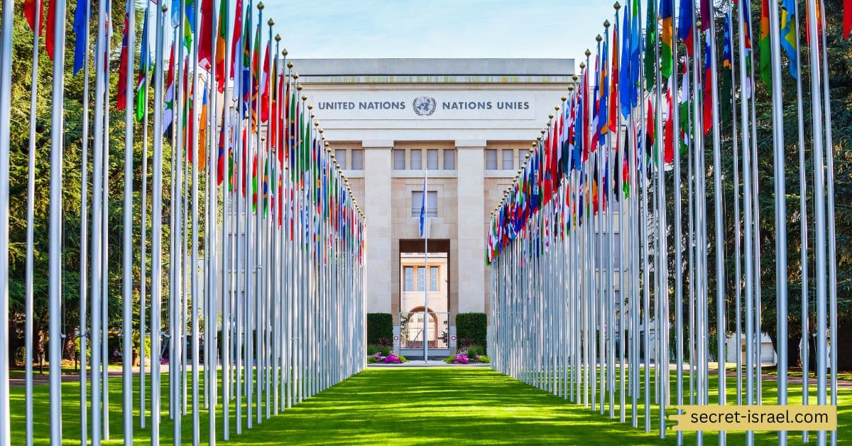 The Role of the United Nations and Other Global Actors