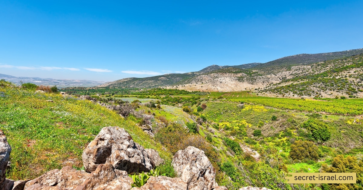 Golan Heights