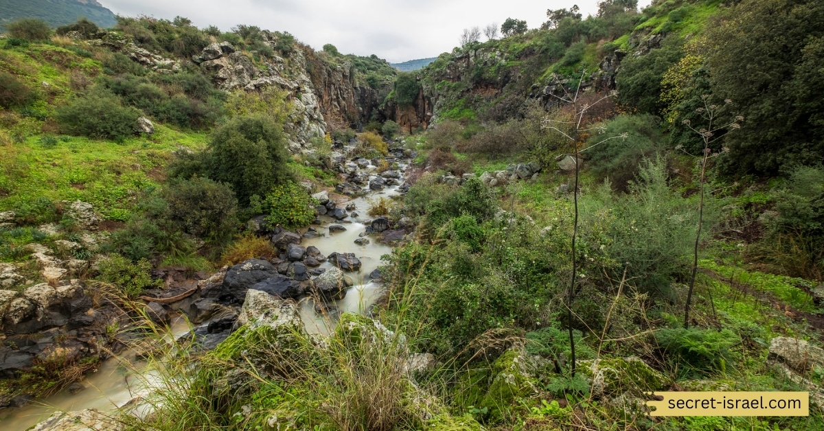 Sa'ar Waterfall Nature Reserve