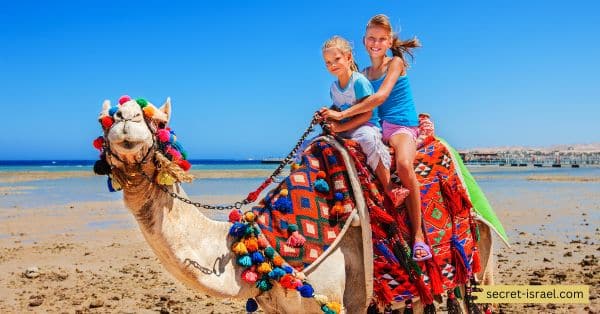 Go for a Camel Ride on the Beach