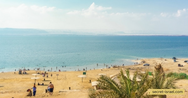 The Dead Sea