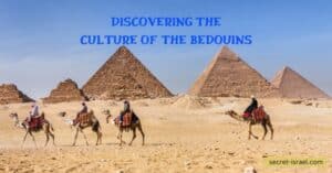 Discovering the Culture of the Bedouins