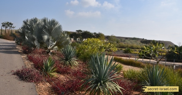 Flora and Fauna of Ariel Sharon Park