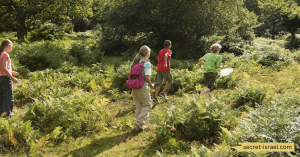 Hike Through the Ahuzat Shulamit Nature Reserve