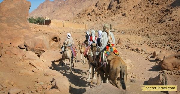 Introduction to the Bedouin People_ A Nomadic Culture