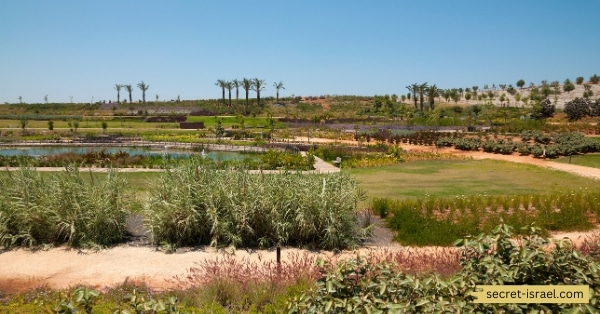 Promoting Sustainability at Ariel Sharon Park2