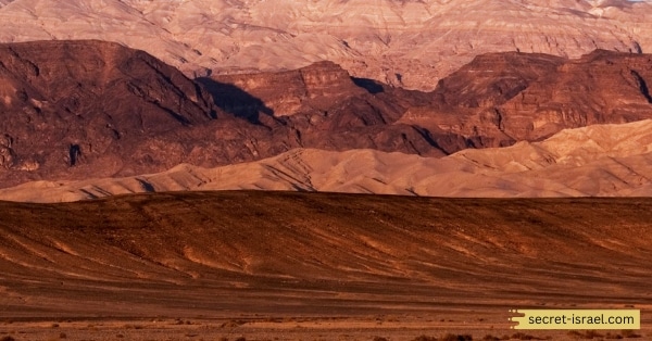 Sandy Expanse