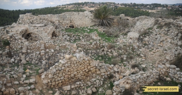 The Ancient Holon Ruins