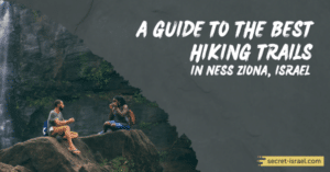 A Guide to the Best Hiking Trails in Ness Ziona, Israel