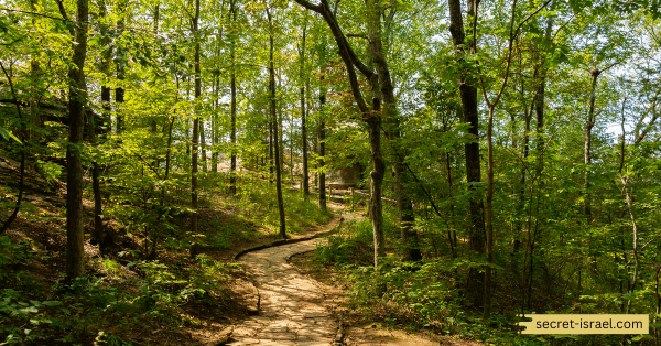The Gan Sorek Trail
