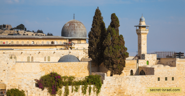 The Mosque of Omar