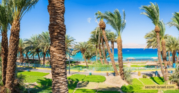 Aqaba Corniche