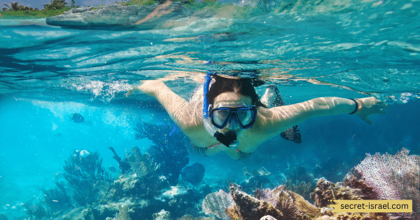 Best Time To Go For Snorkeling In Aqaba