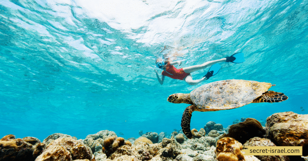 Cable reef