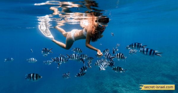 Tips To Keep In Mind Before Snorkeling In Aqaba